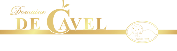 Domainedecavel