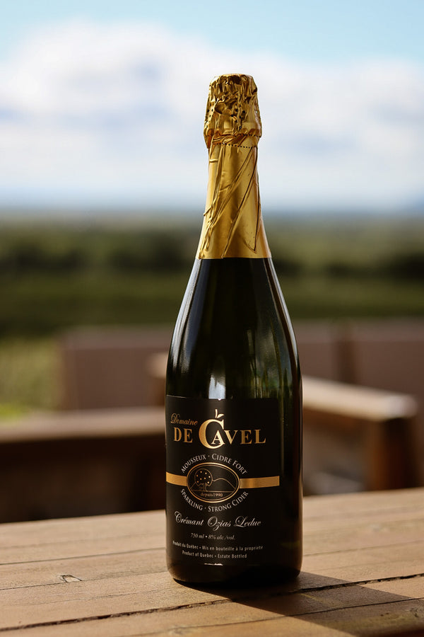 Cidre mousseux Crémant Ozias-Leduc