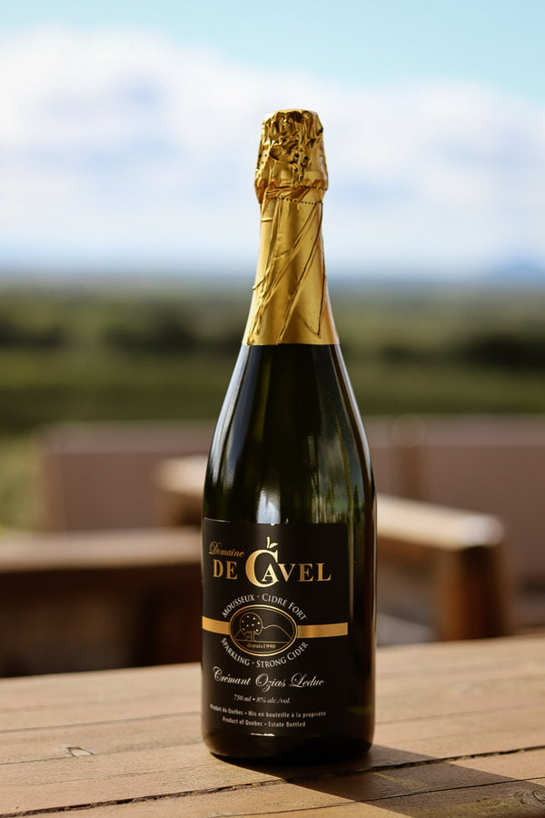 Cidre mousseux Crémant Ozias-Leduc