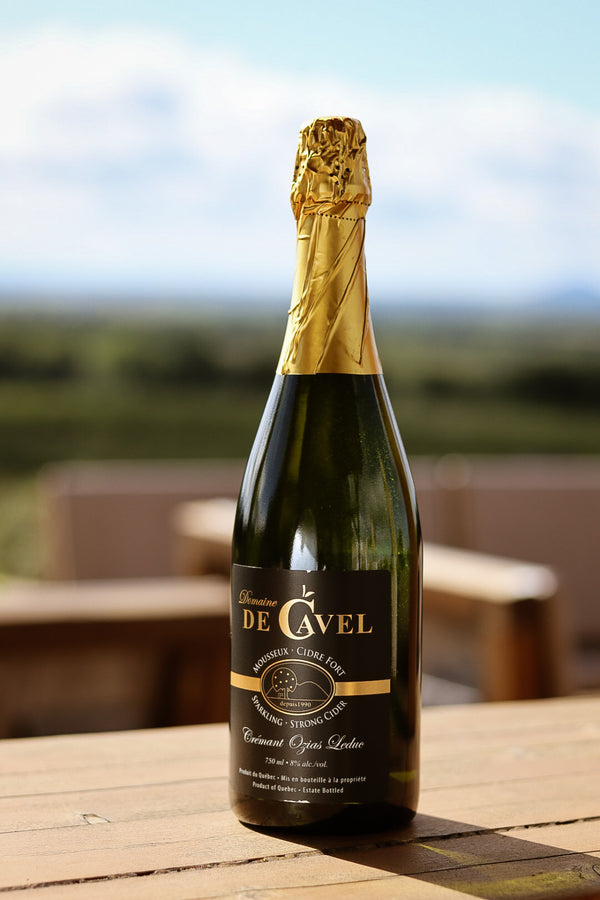 Cidre mousseux Crémant Ozias-Leduc