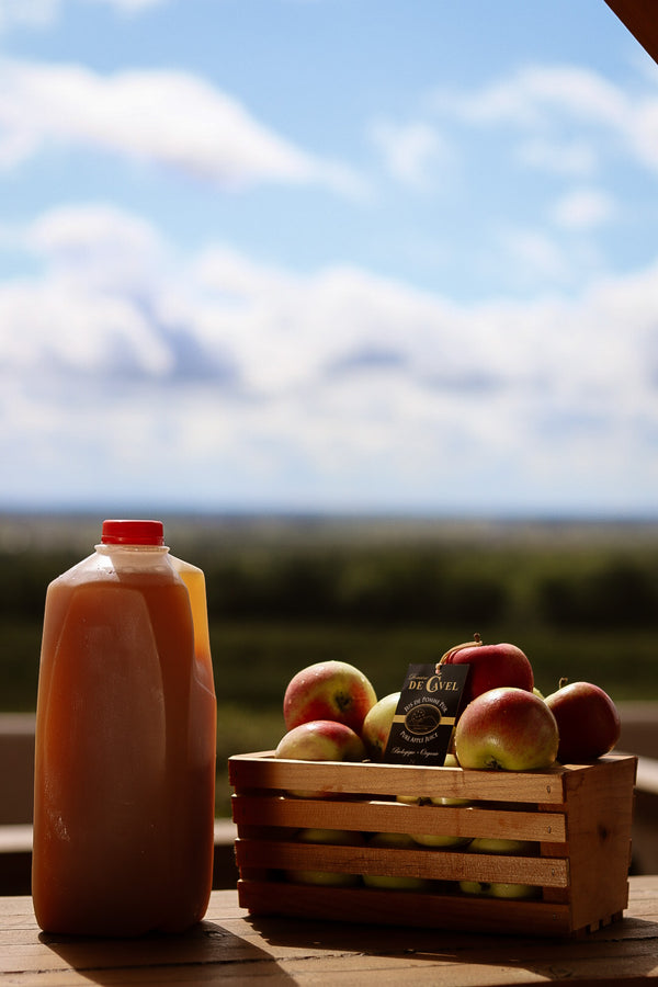 Jus de pommes